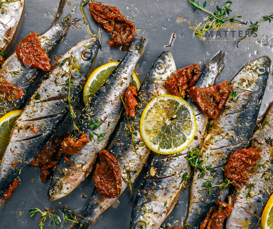 Wild-caught Fish – Organic Matters