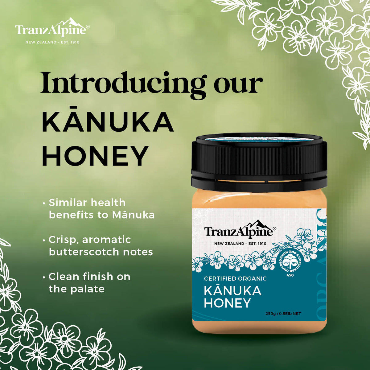 Kanuka Honey