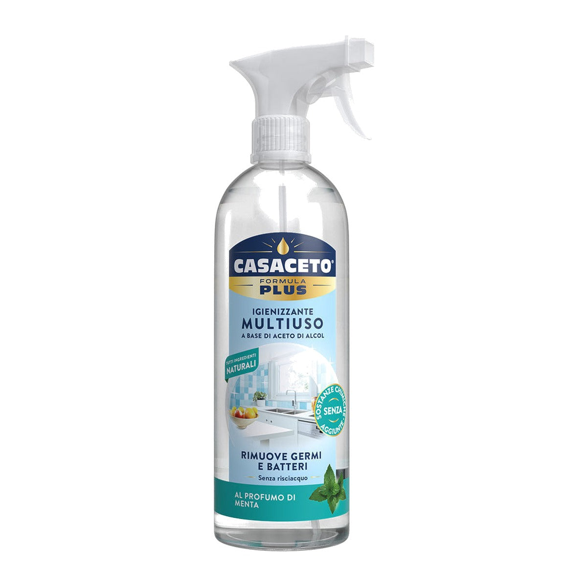 Casaceto Cleaning Vinegar Mint