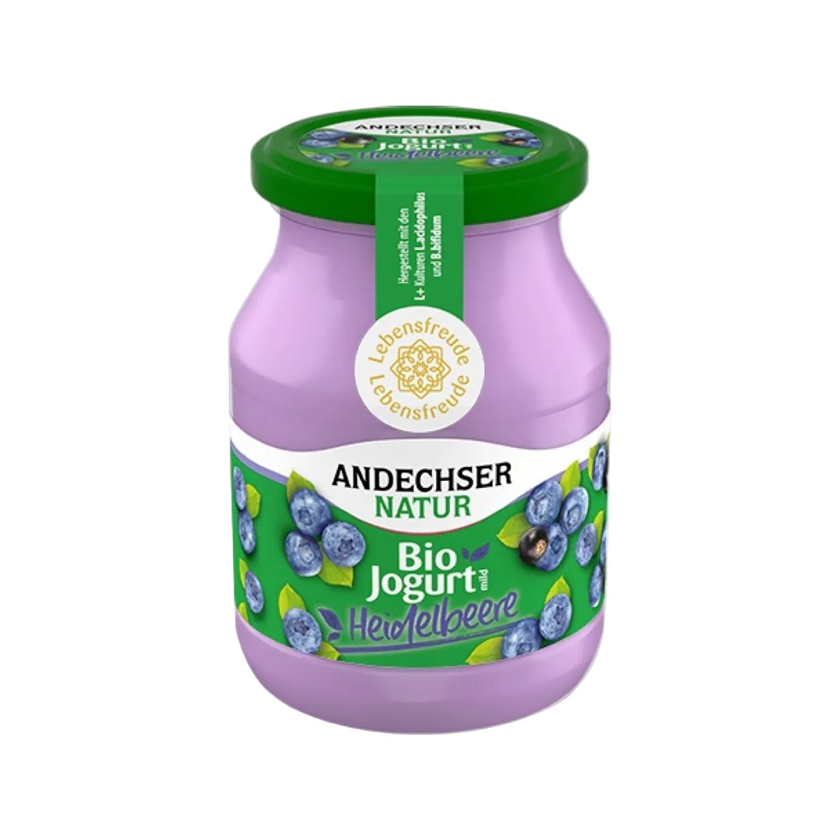 Organic Yogurt with Blueberries